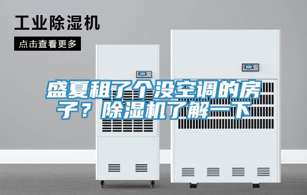 盛夏租了個沒空調的房子？除濕機了解一下