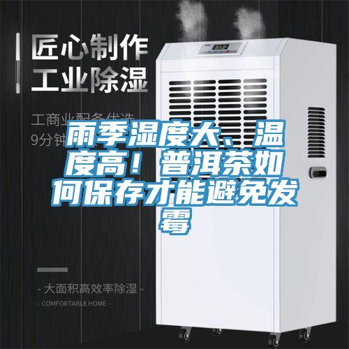 雨季濕度大、溫度高！普洱茶如何保存才能避免發霉