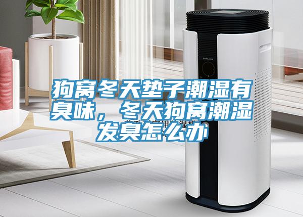 狗窩冬天墊子潮濕有臭味，冬天狗窩潮濕發臭怎么辦