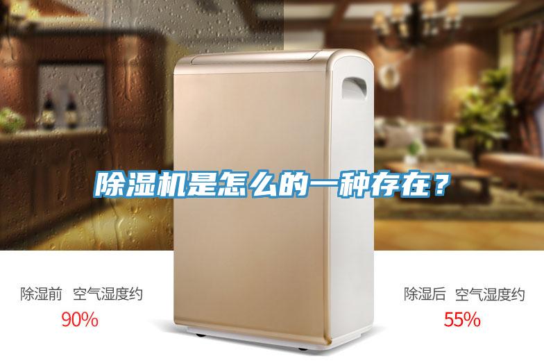 除濕機是怎么的一種存在?