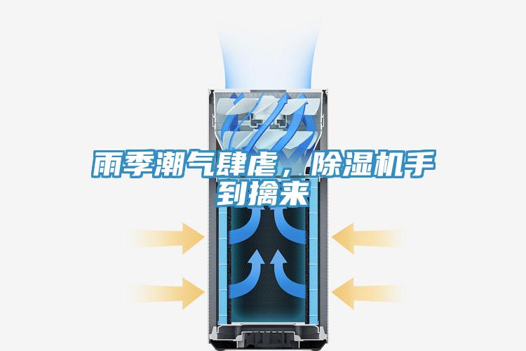 雨季潮氣肆虐,除濕機手到擒來