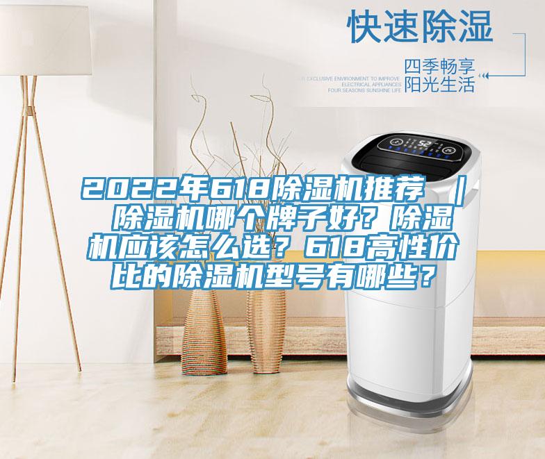 2022年618除濕機推薦 | 除濕機哪個牌子好?除濕機應該怎么選?618高性價比的除濕機型號有哪些?