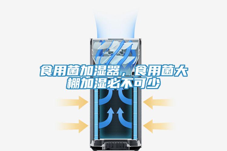 食用菌加濕器,食用菌大棚加濕必不可少