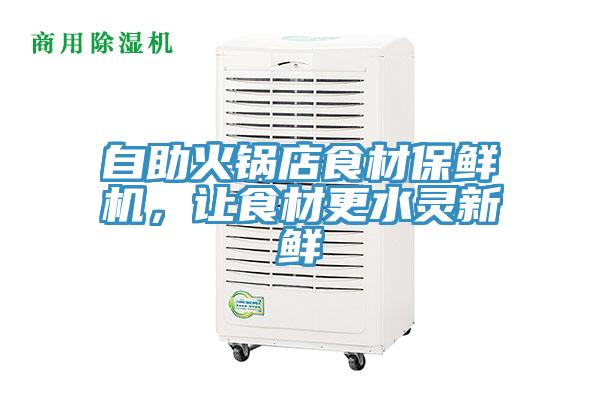 自助火鍋店食材保鮮機，讓食材更水靈新鮮