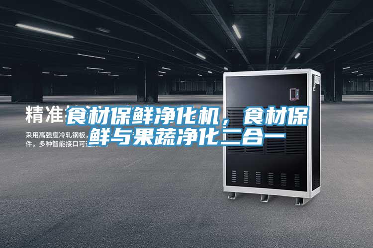 食材保鮮凈化機,食材保鮮與果蔬凈化二合一