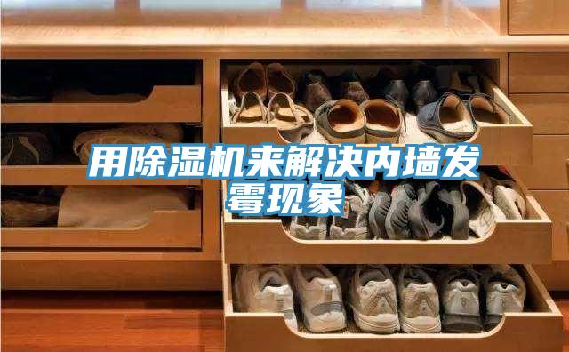 用除濕機來解決內墻發霉現象