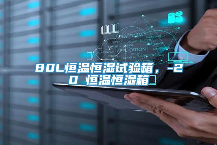 80L恒溫恒濕試驗箱,-20℃恒溫恒濕箱