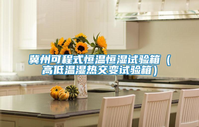 冀州可程式恒溫恒濕試驗(yàn)箱(高低溫濕熱交變?cè)囼?yàn)箱)