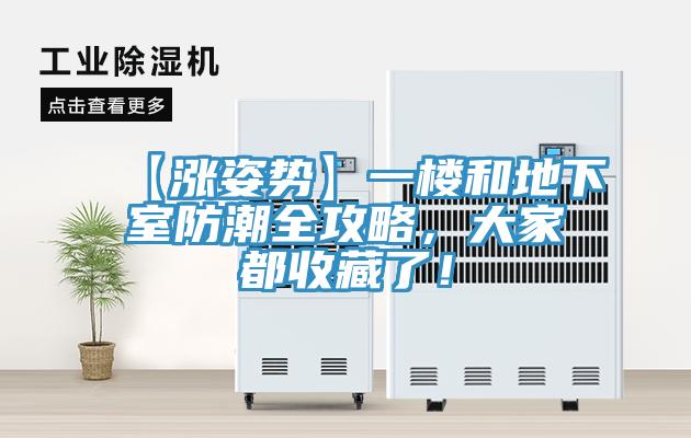 【漲姿勢】一樓和地下室防潮全攻略，大家都收藏了！