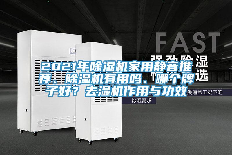 2021年除濕機家用靜音推薦、除濕機有用嗎、哪個牌子好？去濕機作用與功效