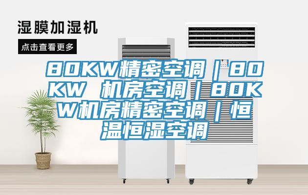 80KW精密空調(diào)|80KW 機房空調(diào)|80KW機房精密空調(diào)|恒溫恒濕空調(diào)