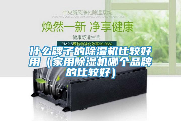 什么牌子的除濕機(jī)比較好用(家用除濕機(jī)哪個品牌的比較好)