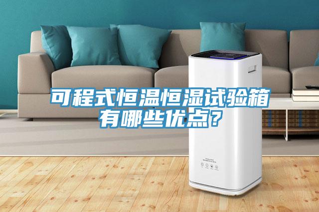 可程式恒溫恒濕試驗箱有哪些優點?