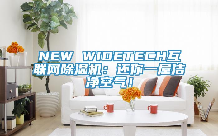 NEW WIDETECH互聯網除濕機：還你一屋潔凈空氣！