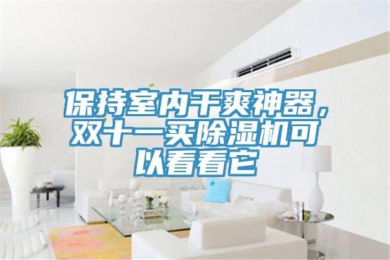 保持室內干爽神器,雙十一買除濕機可以看看它