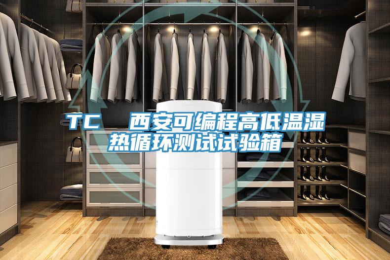 TC 西安可編程高低溫濕熱循環測試試驗箱