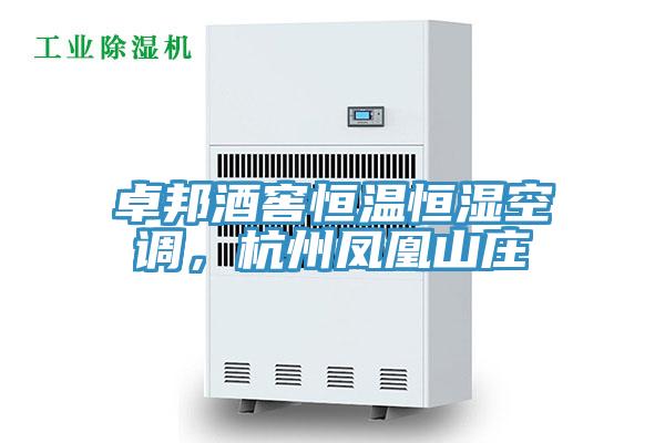 卓邦酒窖恒溫恒濕空調,杭州鳳凰山莊