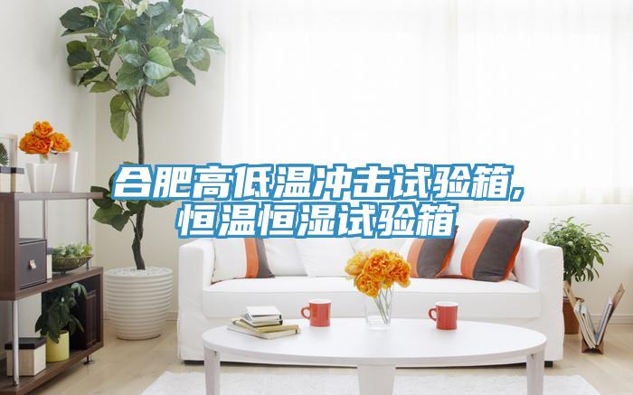合肥高低溫沖擊試驗(yàn)箱,恒溫恒濕試驗(yàn)箱