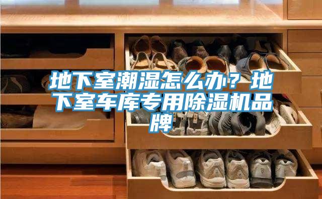 地下室潮濕怎么辦?地下室車庫(kù)專用除濕機(jī)品牌