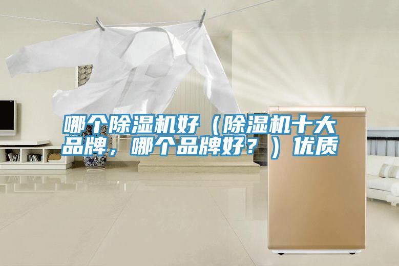 哪個除濕機好(除濕機十大品牌,哪個品牌好?)優質