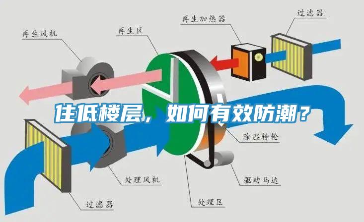 住低樓層,如何有效防潮?