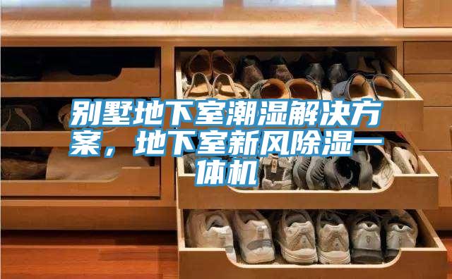 別墅地下室潮濕解決方案，地下室新風除濕一體機