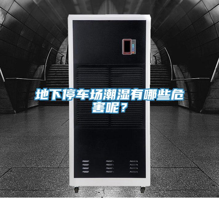 地下停車場(chǎng)潮濕有哪些危害呢?