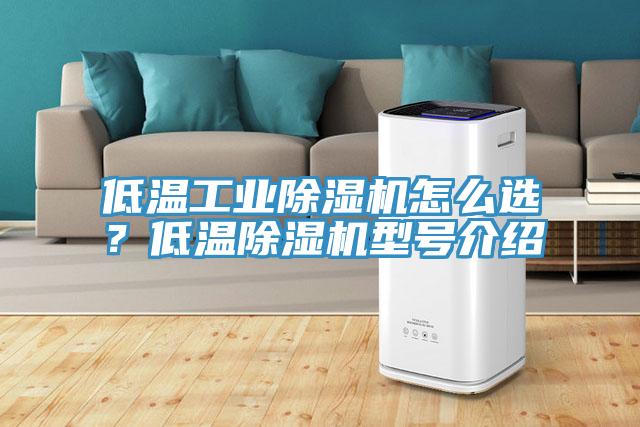 低溫工業除濕機怎么選?低溫除濕機型號介紹