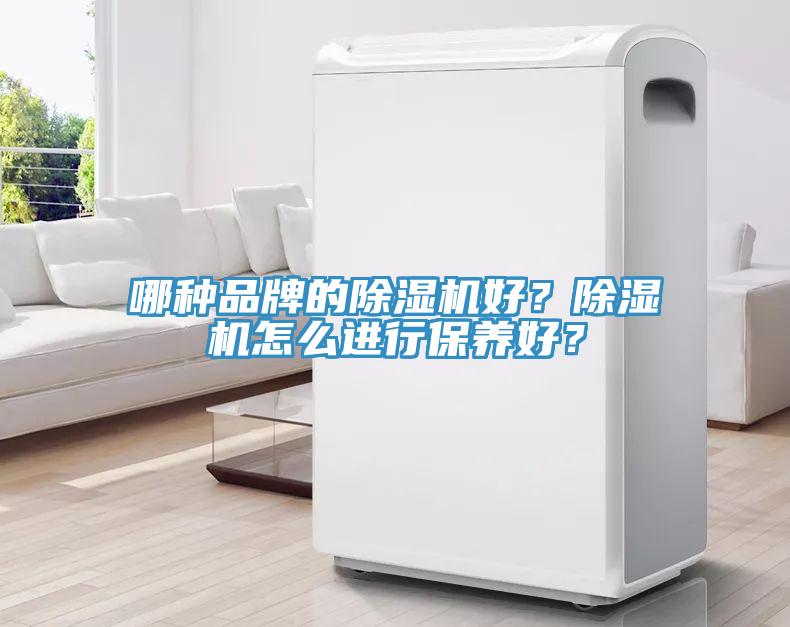 哪種品牌的除濕機好?除濕機怎么進行保養好?