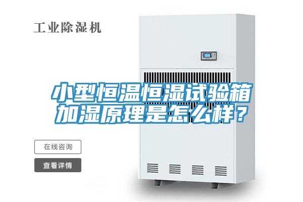 小型恒溫恒濕試驗(yàn)箱加濕原理是怎么樣？