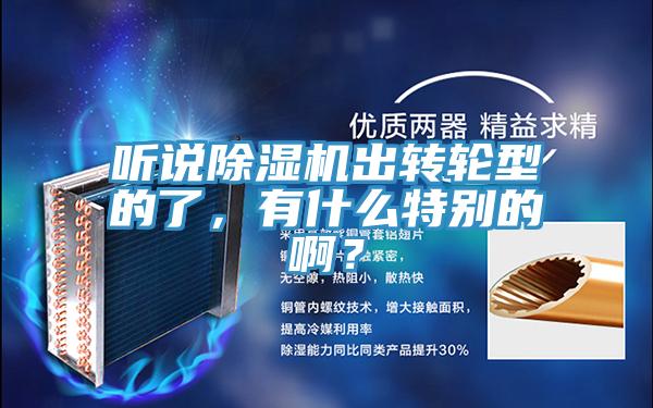 聽說(shuō)除濕機(jī)出轉(zhuǎn)輪型的了，有什么特別的啊？