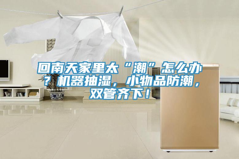 回南天家里太“潮”怎么辦?機器抽濕,小物品防潮,雙管齊下!