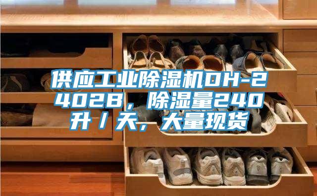 供應工業除濕機DH-2402B，除濕量240升／天，大量現貨