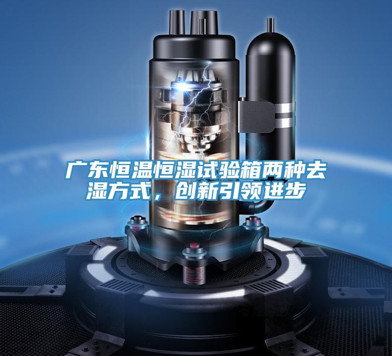 廣東恒溫恒濕試驗箱兩種去濕方式，創新引領進步