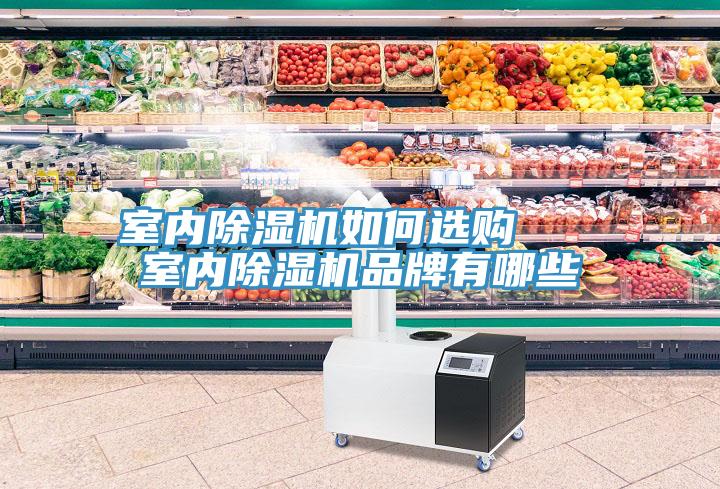 室內除濕機如何選購 室內除濕機品牌有哪些