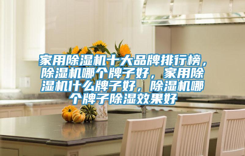 家用除濕機十大品牌排行榜，除濕機哪個牌子好，家用除濕機什么牌子好，除濕機哪個牌子除濕效果好