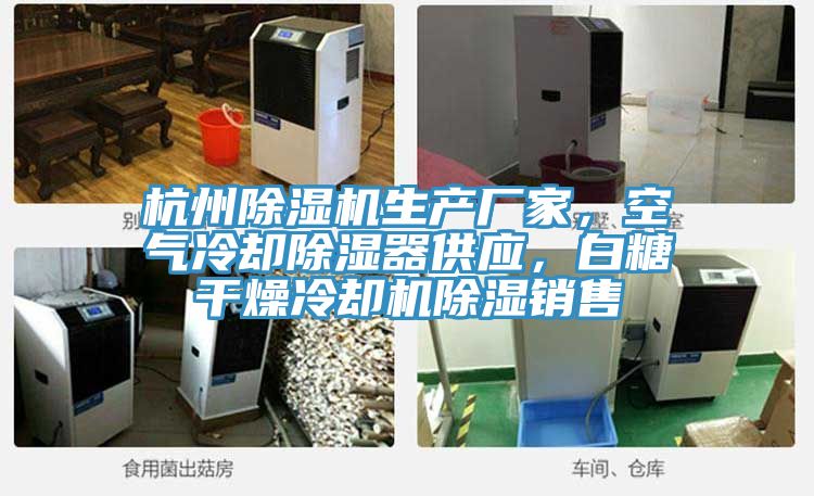 杭州除濕機(jī)生產(chǎn)廠家,空氣冷卻除濕器供應(yīng),白糖干燥冷卻機(jī)除濕銷售