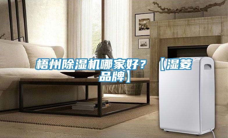 梧州除濕機哪家好?【濕菱品牌】