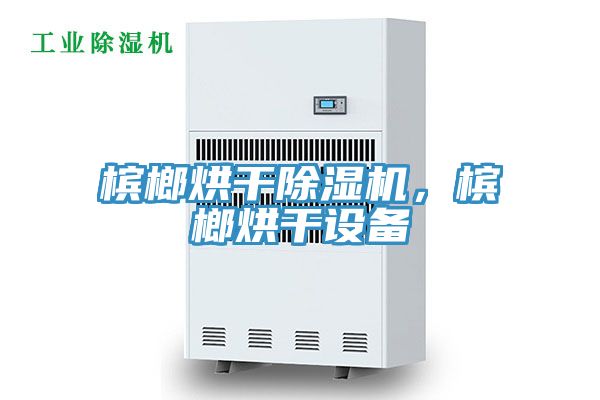 檳榔烘干除濕機,檳榔烘干設備