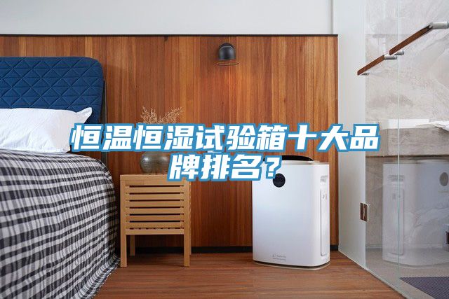 恒溫恒濕試驗(yàn)箱十大品牌排名?
