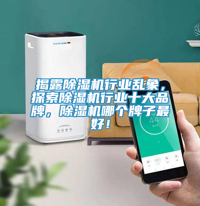 揭露除濕機行業亂象,探索除濕機行業十大品牌,除濕機哪個牌子最好!