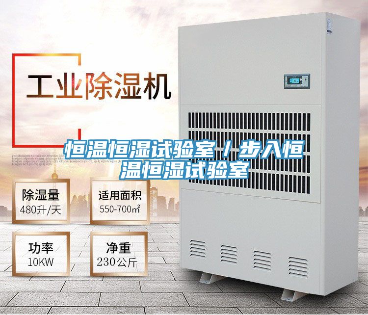 恒溫恒濕試驗室/步入恒溫恒濕試驗室