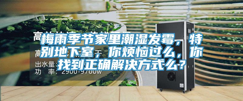 梅雨季節家里潮濕發霉，特別地下室，你煩惱過么，你找到正確解決方式么？