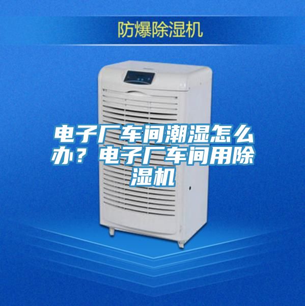 電子廠車間潮濕怎么辦？電子廠車間用除濕機