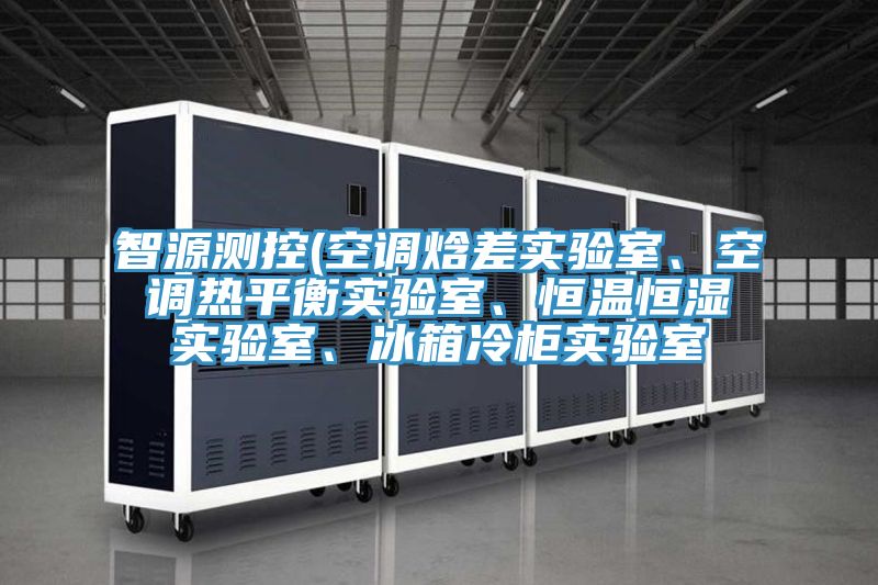 智源測控(空調焓差實驗室、空調熱平衡實驗室、恒溫恒濕實驗室、冰箱冷柜實驗室