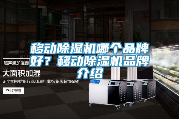 移動除濕機哪個品牌好?移動除濕機品牌介紹