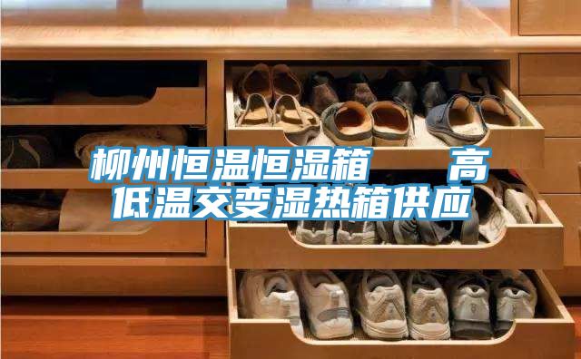 柳州恒溫恒濕箱 高低溫交變濕熱箱供應(yīng)