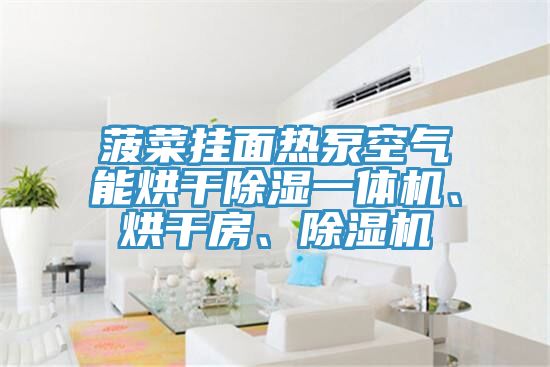 菠菜掛面熱泵空氣能烘干除濕一體機、烘干房、除濕機