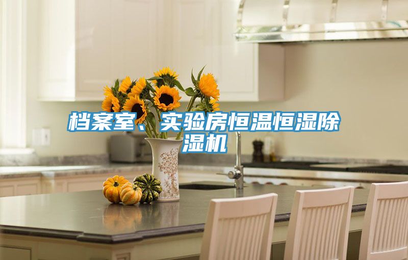 檔案室、實驗房恒溫恒濕除濕機