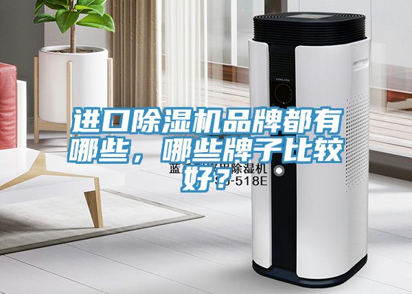 進口除濕機品牌都有哪些，哪些牌子比較好？